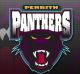 Rugby League team logo.
PENRITH PANTHERS