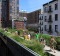 Walk the High Line when visiting New York.