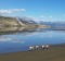 Taken in September 2016, along Jasper Lake in the Rockies of Jasper National Park, Canada.We driving along this lake ...