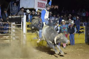 "In his blood": Mitchell Gajkowski had dreamed of a bull riding career in the US.