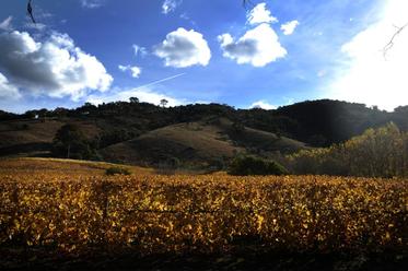 An autumn day at Lerida