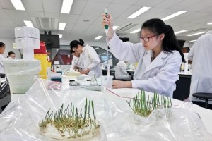 Female students in a science lab (Supplied: Australian Science Innovators)