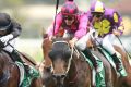 Jockey Tye Angland rides Zamex to win at Rosehill.