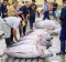 The tuna auction at Tsukiji Market. If you want to be one of the few tourists allowed to see it, you'd best arrive at 3am.