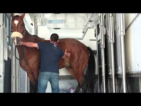 John Parker International Horse Transport New Volvo FH