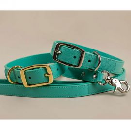 Premium Leather Dog Collar - Aqua