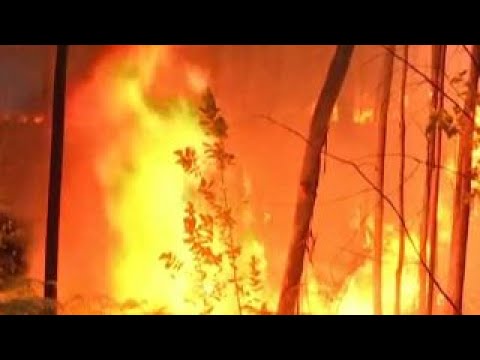 Death toll rises in Portugal forest fire