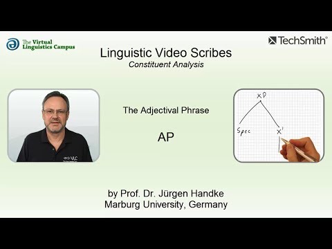 Linguistic Video Scribes - Constituent Analysis: The AP