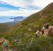 Freycinet Experience walk.