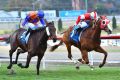 Beau Mertens riding Stylish Miss defeats Jye McNeil riding Mamzelle Tess in Race 4 during Melbourne Racing at Moonee ...