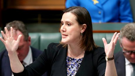 Finance Minister Kelly O'Dwyer will announce measures to give better protection to whistleblowers. 