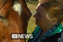 Horse therapy helps abuse survivors move on