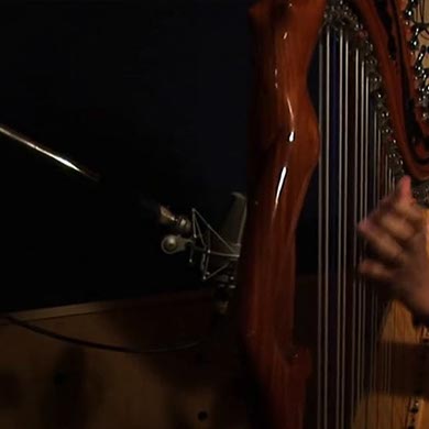 "Dueling Harp" Rendition of Classic "Pájaro Campana" by Martin Portillo and Marcelo Rojas