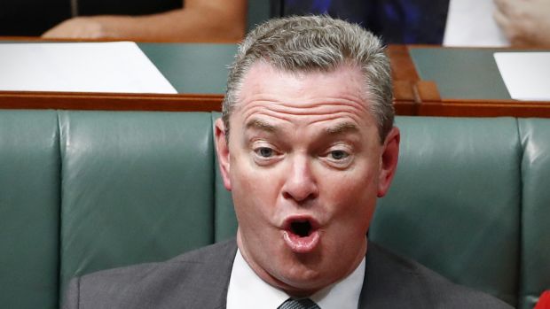 Defence Industry Minister Christopher Pyne during question time on Thursday.