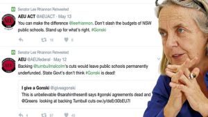 Greens senator Lee Rhiannon is under attack from her federal Greens colleagues.