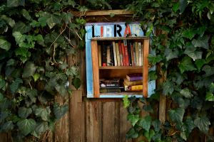 A street library in Newtown.