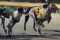 Greyhound racing will be banned in the ACT from June 30 2018.