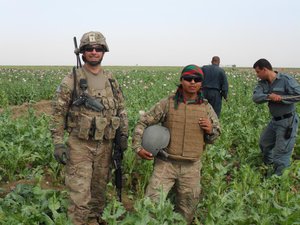 File - Angola, N.Y. resident Lt. Col. Russell Clark (left), poses with his interpreter in an opium poppy field as Afghan National Police (ANP) use sticks to hack off the plants' seed pods before they can be used to make heroin.