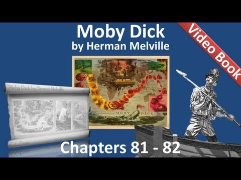 Chapter 081-082 - Moby Dick by Herman Melville