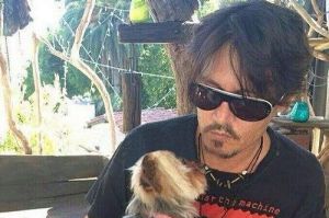 Johnny Depp with one of his Yorkshire terriers illegally brought to Australia.