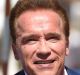 Arnold Schwarzenegger attends a photocall for Wonders of the Sea 3D at the 70th annual Cannes Film Festival.