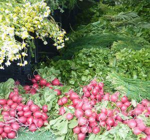 Fresh produce on offer at various Farmer's Markets