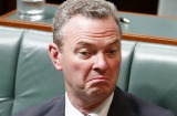 Christopher Pyne described Ms McManus' comments as "anarcho-Marxist claptrap"