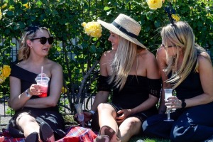 Crowds enjoying a perfect day at the track during the Spring Racing Carnival.