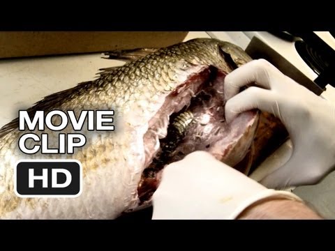 The Bay Movie CLIP - The Culprit (2012) - Horror Movie HD