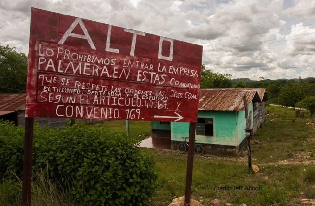 A sign reading “Stop: We forbid palm companies from entering these communities” in Alta Verapaz, Guatemala. Jeff Abbott