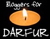 Bloggers for Darfur