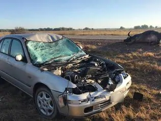 A wreck found by the side of the road after an apparent car vs buffalo collision at the Adelaide River flood plains. PICTURE: Steve Hawkett