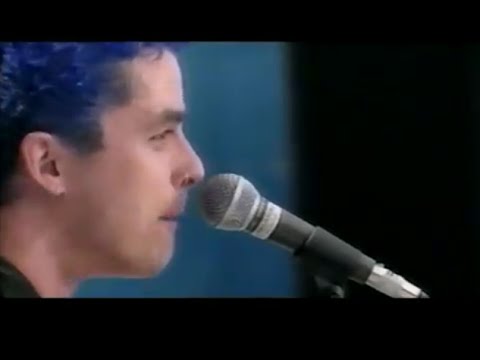 Green Day - F.O.D. - 8/14/1994 - Woodstock 94 (Official)