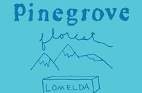 Pinegrove Plot North American Tour