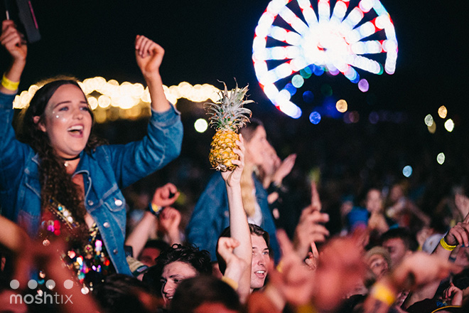 BIG PINEAPPLE MUSIC FESTIVAL