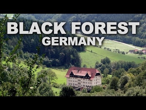 Black Forest (Schwarzwald) in Southwest Germany