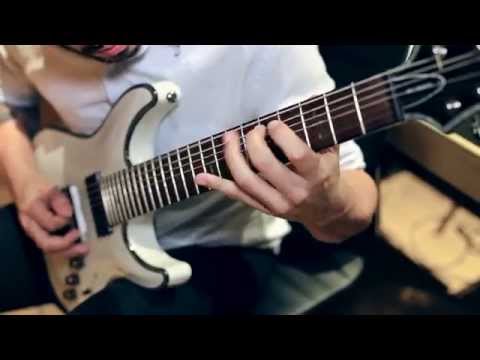 ᴴᴰ VITALISM | GRADUS | GUITAR PLAYTHROUGH [OFFICIAL]