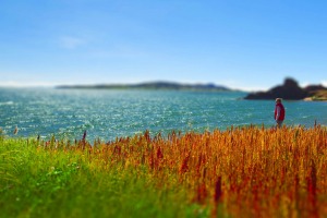 Lake Titicaca in full splendor.