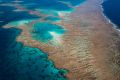 The Great Barrier Reef is the subject of a Deloitte Access Economics report.