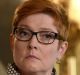 Defence Minister Marise Payne has delivered a blistering rebuke to Tony Abbott over his call to consider nuclear subs. 