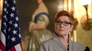 Defence Minister Marise Payne has delivered a blistering rebuke to Tony Abbott over his call to consider nuclear subs. 