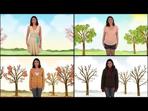 Let's Learn About the Four Seasons - Spring, Summer, Fall, and Winter - Science for Kids