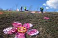 Whimsical knitted cherry blossoms are dotted around the National Arboretum as part of the Warm Trees project.