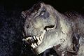 Tyrannosaurus Rex in the film Jurassic Park.