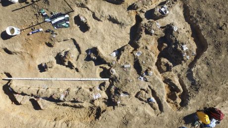 Significant dinosaur remains were found north-east of Winton in 2015. Excavations will resume in mid-August 2017.