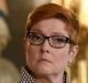 Defence Minister Marise Payne has delivered a blistering rebuke to Tony Abbott over his call to consider nuclear subs. 