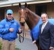 Under investigation: Former trainer John O'Shea and Godolphin Australia boss Henry Plumptre are facing an inquiry into ...