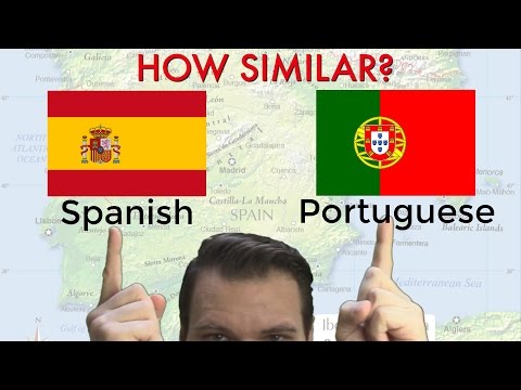 How Similar are Spanish and Portuguese?