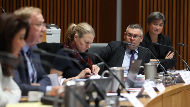 Senators Murray Watt and Penny Wong with committee chair Senator Ian Macdonald during  a committee hearing on Thursday.