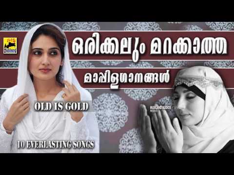 ഒരിക്കലും മറക്കാത്ത മാപ്പിളഗാനങ്ങൾ | Old Is Gold Malayalam Mappila Songs | Pazhaya Mappila Pattukal